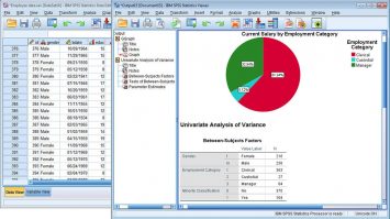 SPSS- What Does It Means